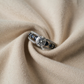 Zirkonia arvering ring