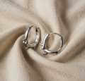 Precious Dachshund Hoops - A Pup Mom's Treasure